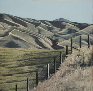 OTAGO RAIL TRAIL SHADOWS