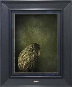KĀKĀPŌ NO.1