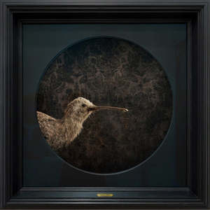 KIWI NO.1