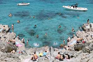 Cathy Carter: CAPO GALLO (ON THE ROCKS)