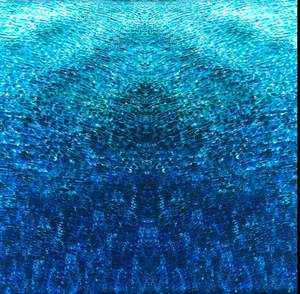 Cathy Carter: MARIPOSA BLUE