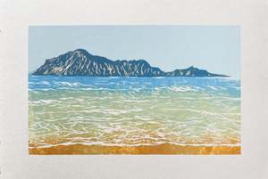 BARE ISLAND FROM WAIMARARMA #7, 2025