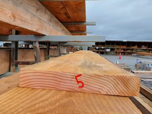 NZ Oregon 300x50 Roughsawn New Musgroves