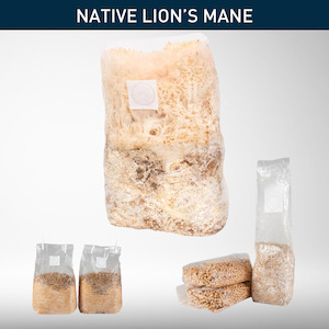 Home & Garden: DIY - Pekepeke-Kiore