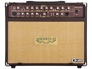 Carlsbro Sherwood 60R 60W Acoustic Guitar Amplifier