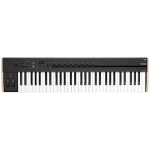 61 Key Keyboards Digital Pianos: Korg Keystage 61-key MIDI Keyboard Controller