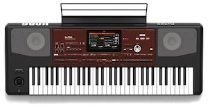 61 Key Keyboards Digital Pianos: Korg PA700 61-Key Pro Arranger Keyboard