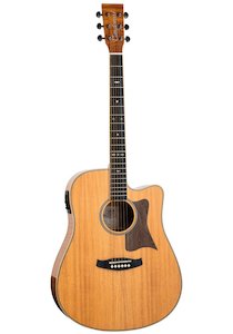 Tanglewood TRD Reunion Dreadnought Acoustic Guitar wit