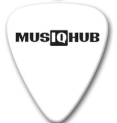 Corporate Items: MusiqHub Guitar Pick