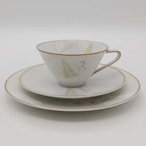 China Brand Hutschenreuther Germany: Hutschenreuther - Diadem - Trio