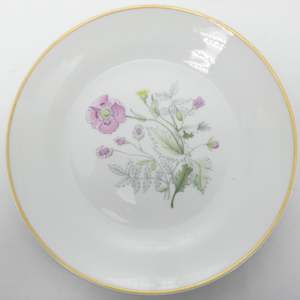 Richard Ginori - Primavera - Luncheon Plate