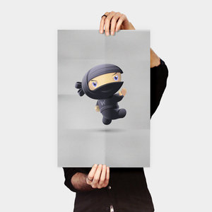 Products: Flying Ninja