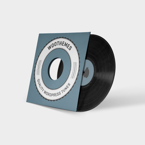 Products: Woo Album 1