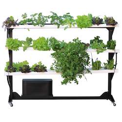 Frontpage: Medium My Greens Hydroponics Tower (48 plant spots)