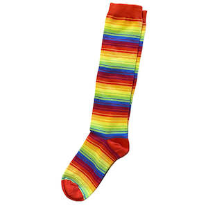 Slugs and Snails | Rainbow Socks | Child Sizes