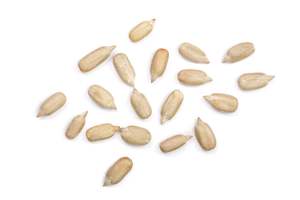 Organic Sunflower Seeds 500g-1kg