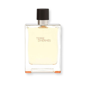 Hermes Terre D'Hermes Delux Replica EDT