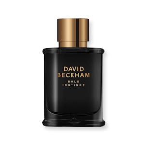 David Beckham: David Beckham Bold Instinct EDT