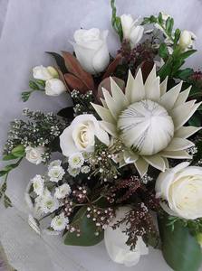 Products: Winter Wonders – Myrrh & Co Florist Mt Maunganui