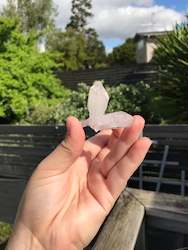 Vera Cruz Amethyst #25