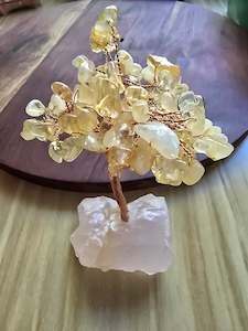 Products: Daphne Wooding Live Purchase 18.10