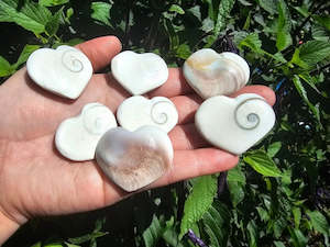 Hearts Available: Shiva Shell Hearts