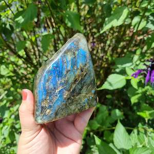 Labradorite Collection: Labradorite Freeform $70