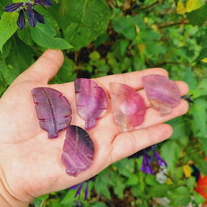 Fluorite Collection: Rainbow Fluorite Leaf