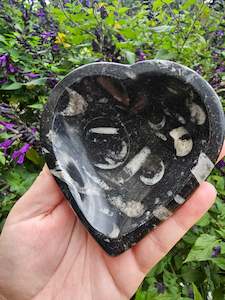 Crystal Drink Bottles: Orthoceras Fossil Heart Bowl #1