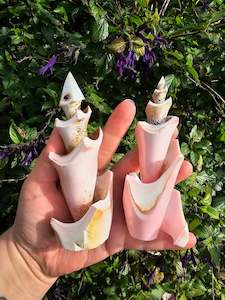 Christmas Gift Ideas: Unique Pink Shell Cast Small
