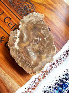 Raw Pieces: Petrified Wood Slab $10