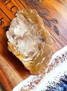 Petrified Wood Slab $10