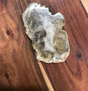 Raw Pieces: Petrified Wood Slab $18