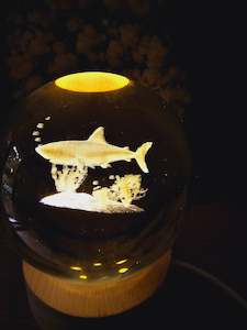 Man Made Stones: Glass Etched Sphere - Shark