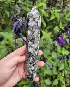 Orthoceras Fossil Tower