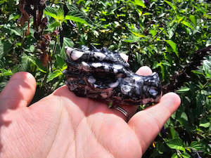 Carvings: Orthoceras Fossil Dragon Skull