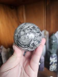 Spheres: Orthoceras Fossil Sphere