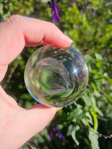 Dolphin Glass Sphere