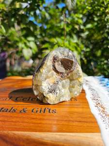 Palm Stones: Septarian Cluster Freeform