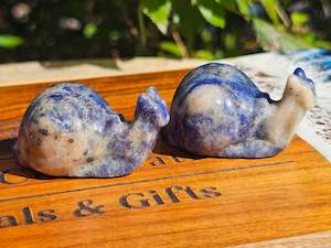 Sodalite Snail