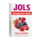 Forest Berries - Fruit Pastilles 23g