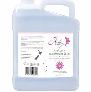 Asten Disinfectant Spray - 4L