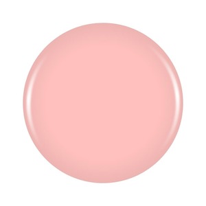 La Piel Collection 6pcs: Luxa Muse