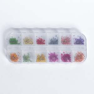 Nail Art Brushes And: Dried Flowers
