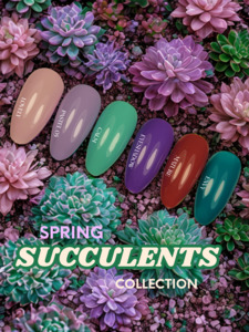 NFS Spring Succulents Collection