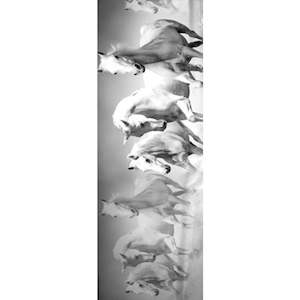 Wild Stallion Monochrome Animal Scarf – Pure Linen Designer Wrap | Black & Whi&hellip;