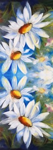 Floral: Blue Daisy Bloom – Cotton Modal Summer Scarf