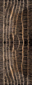 New Arrival: Topographic Ochre & Ink Abstract Pure Silk Scarf