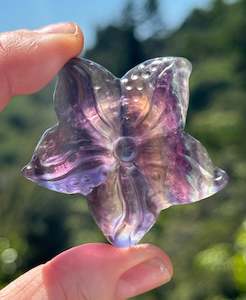 Fluorite: Rainbow Fluorite Starfish