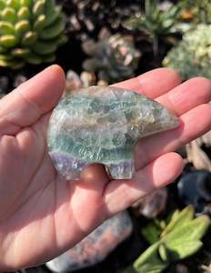 Fluorite: Rainbow Fluorite Zuni Bear